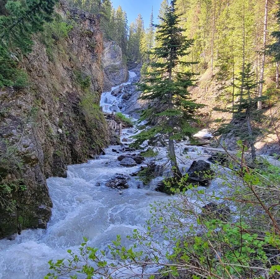 Picture of Donut Falls Summer Trailhead