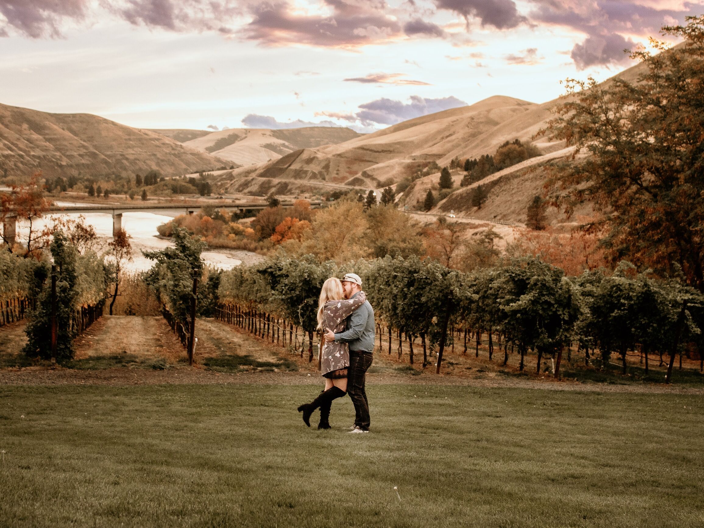 Picture of Rivaura Estate Vineyard and Winery