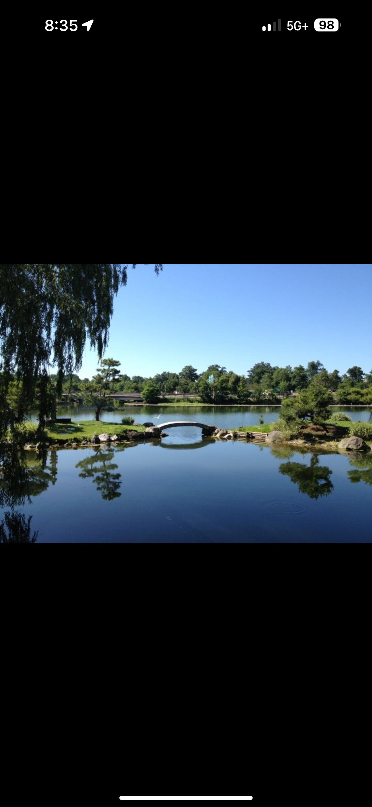 Picture of Japanese Gardens