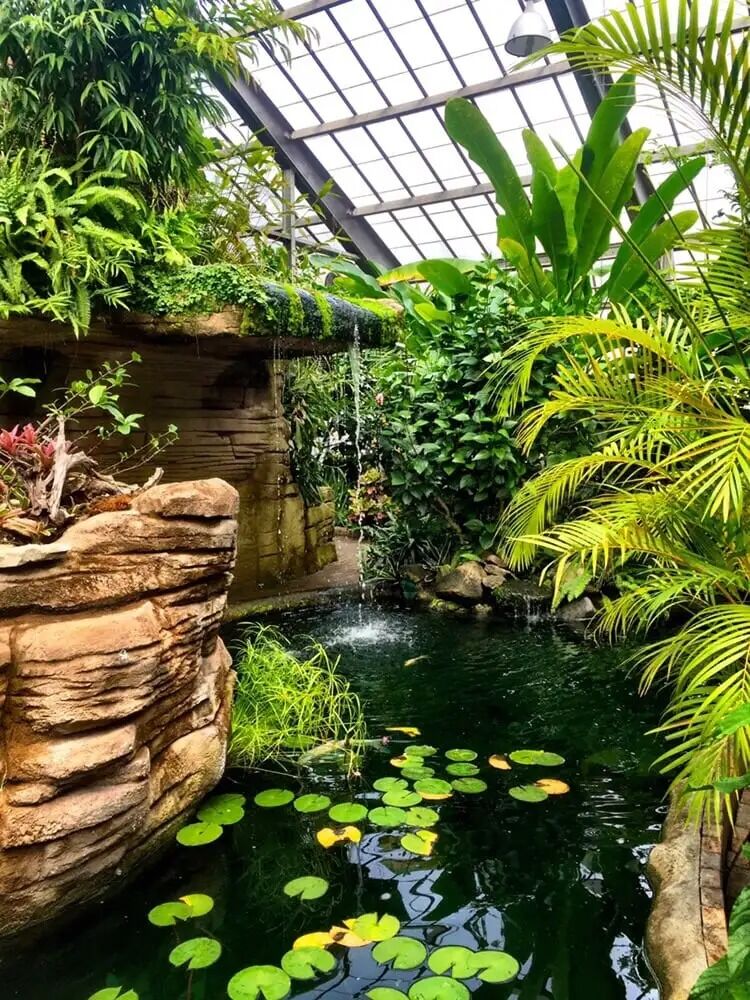 Picture of Garfield Park Conservatory