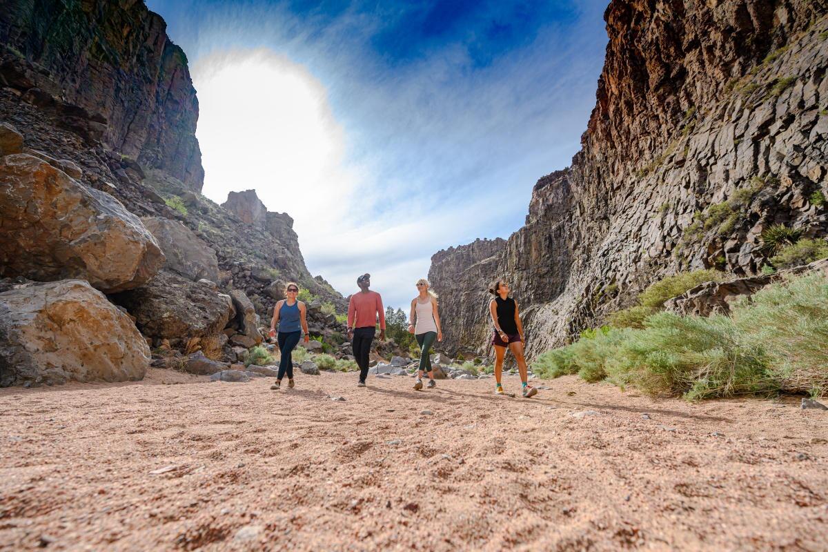 Picture of Hiking Trails