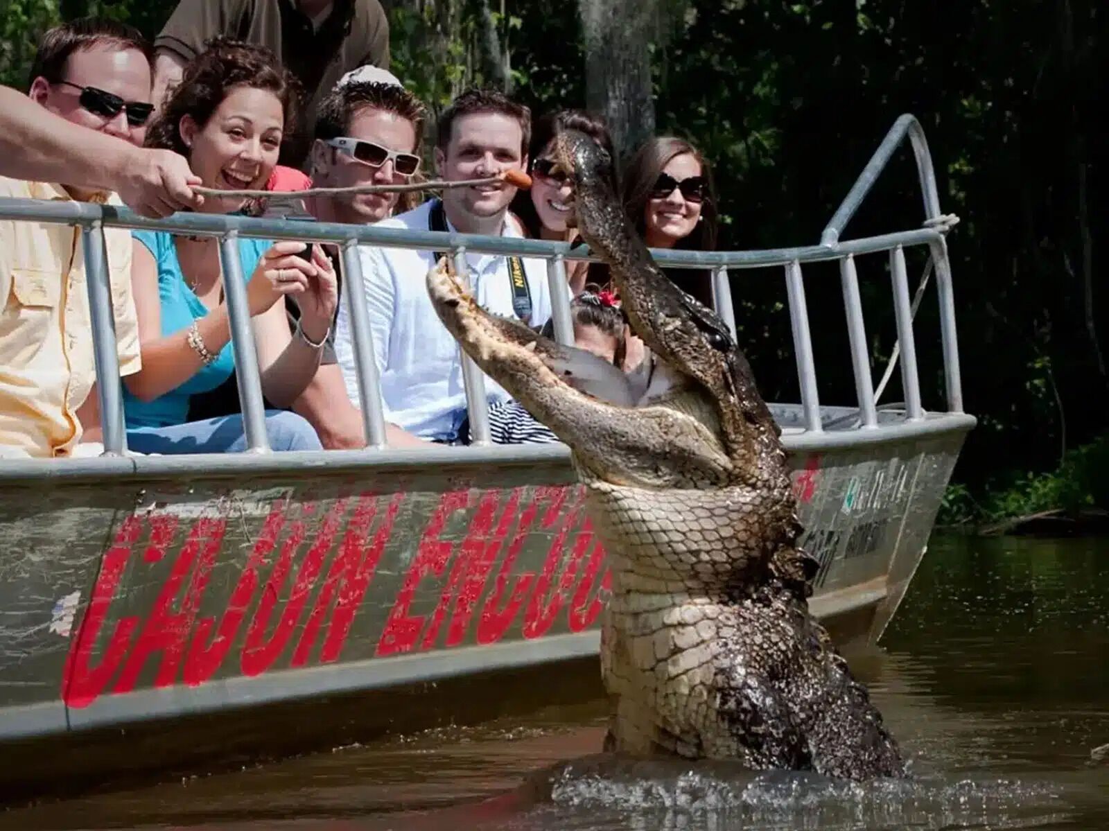 Picture of Gators and Ghosts: New Orleans Tours