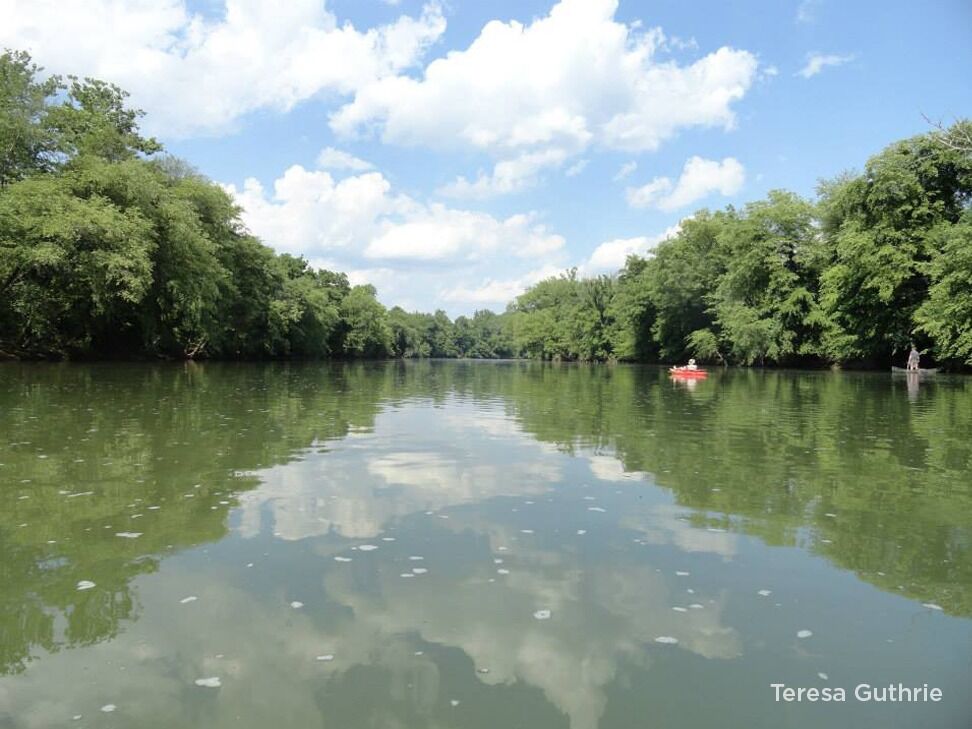 Picture of Floating the Staunton River