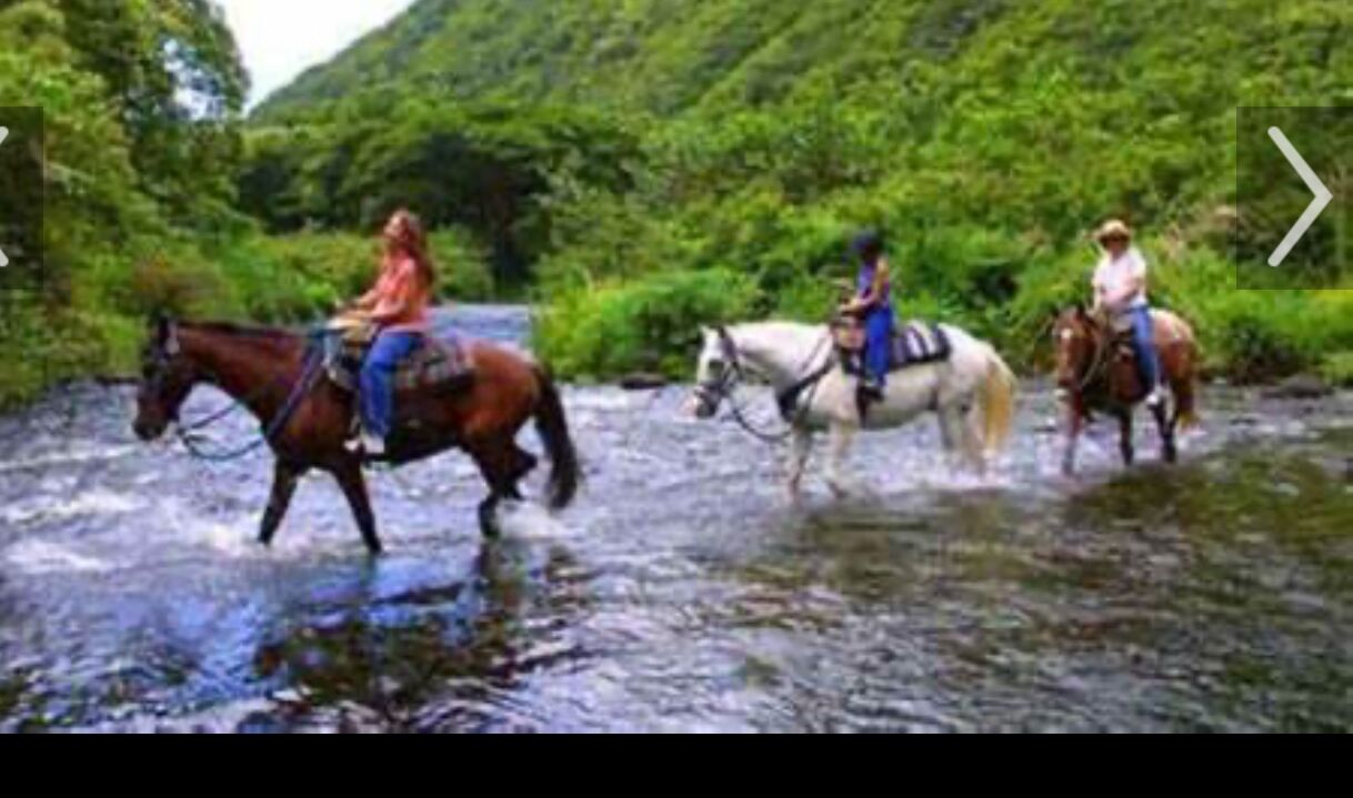 Picture of Waipi'o on Horseback (1 Hour 19 Minute Drive From Kona)