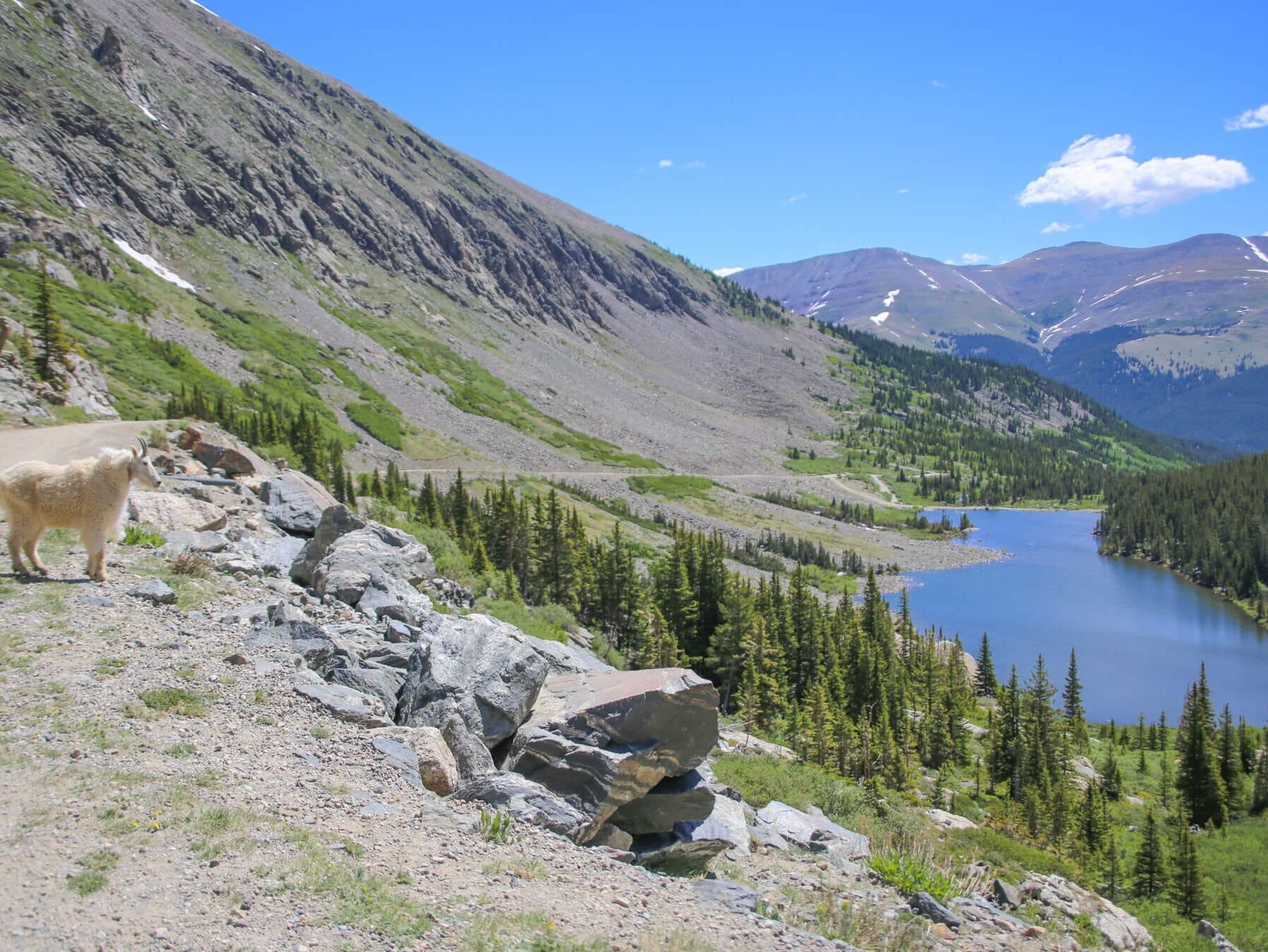 Picture of Hiking