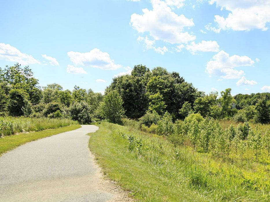 Picture of North Germantown Greenway Stream Valley Park