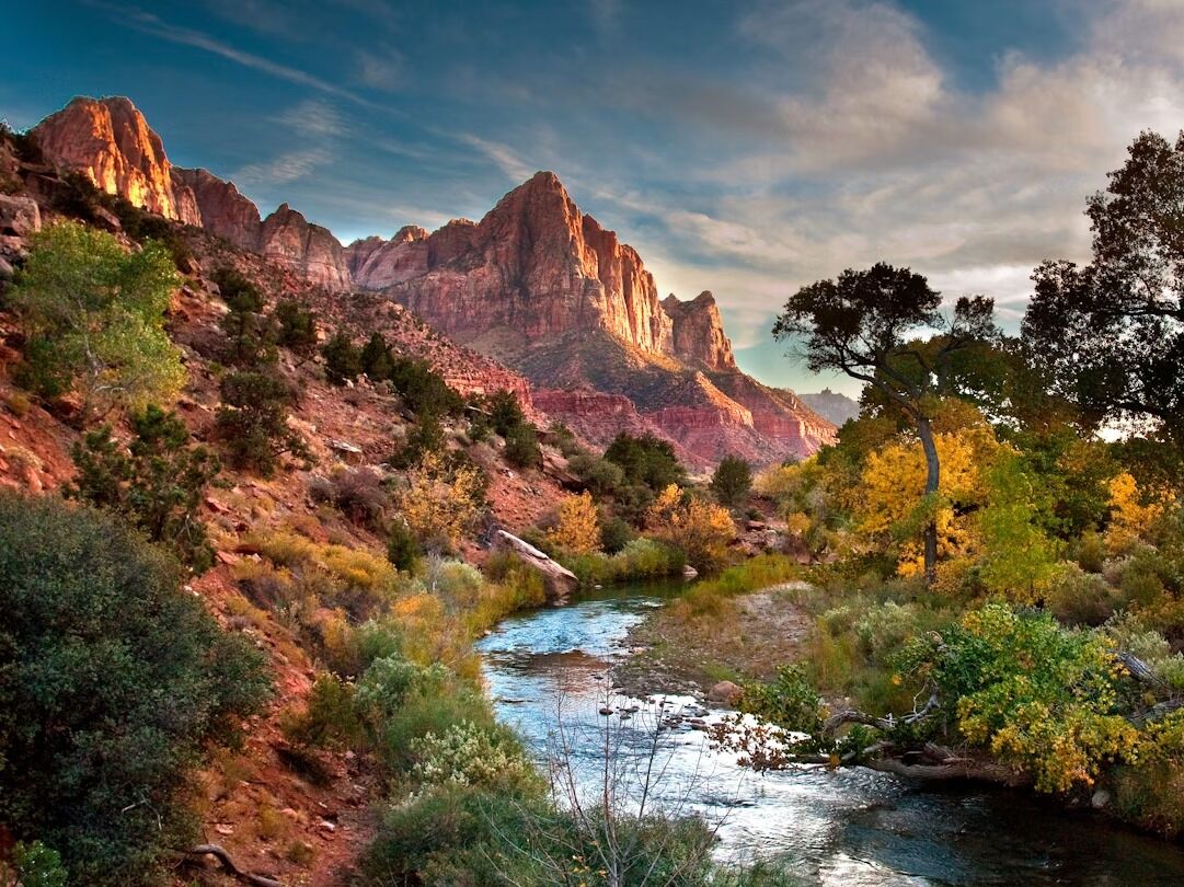 Picture of Zion National Park