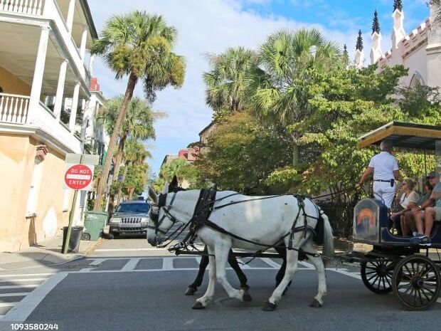 Picture of Historic Charleston Carriage Tours