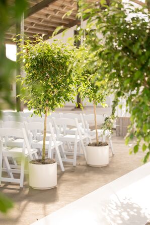 White Folding Chairs and Aisle Lined with Potted Trees