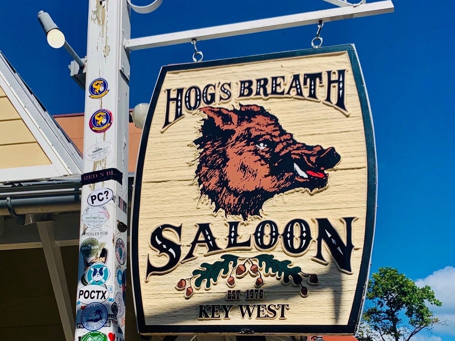 Picture of Hog's Breath Saloon