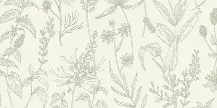Alexa & Anthony Home Page Banner
