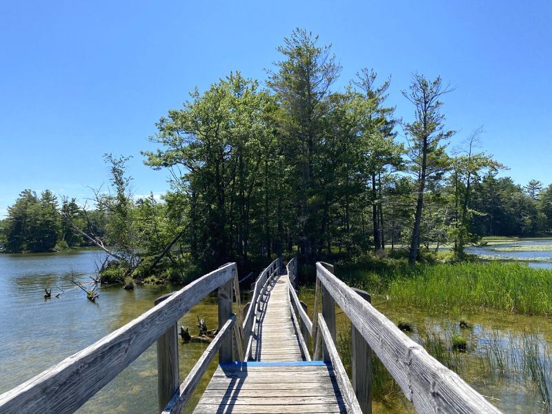 Picture of Ludington State Park 