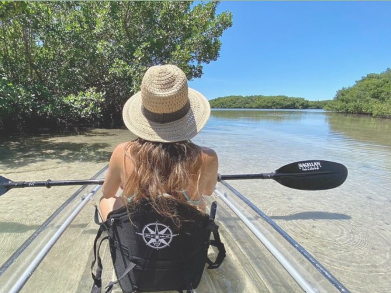 Picture of Clear Kayak Tour of Shell Key Preserve and Tampa Bay Area