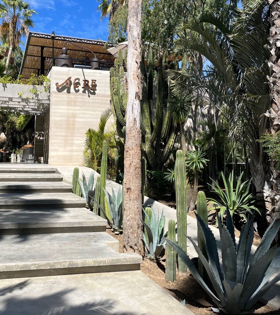Picture of Acre Resort Los Agave Venue 