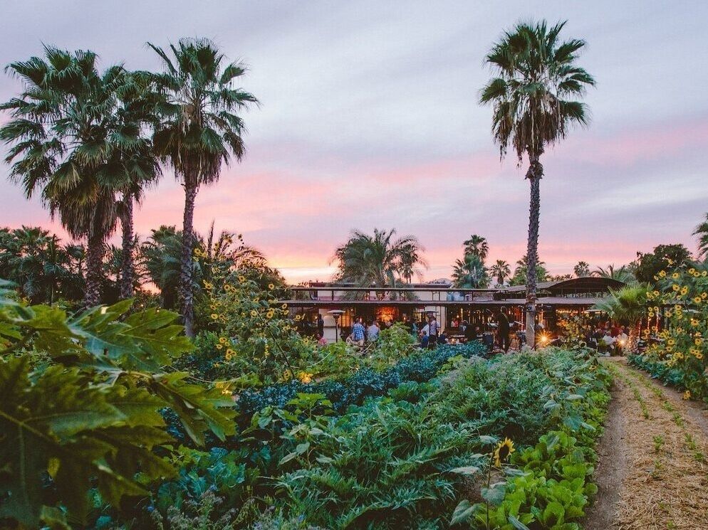 Picture of Flora Farms
