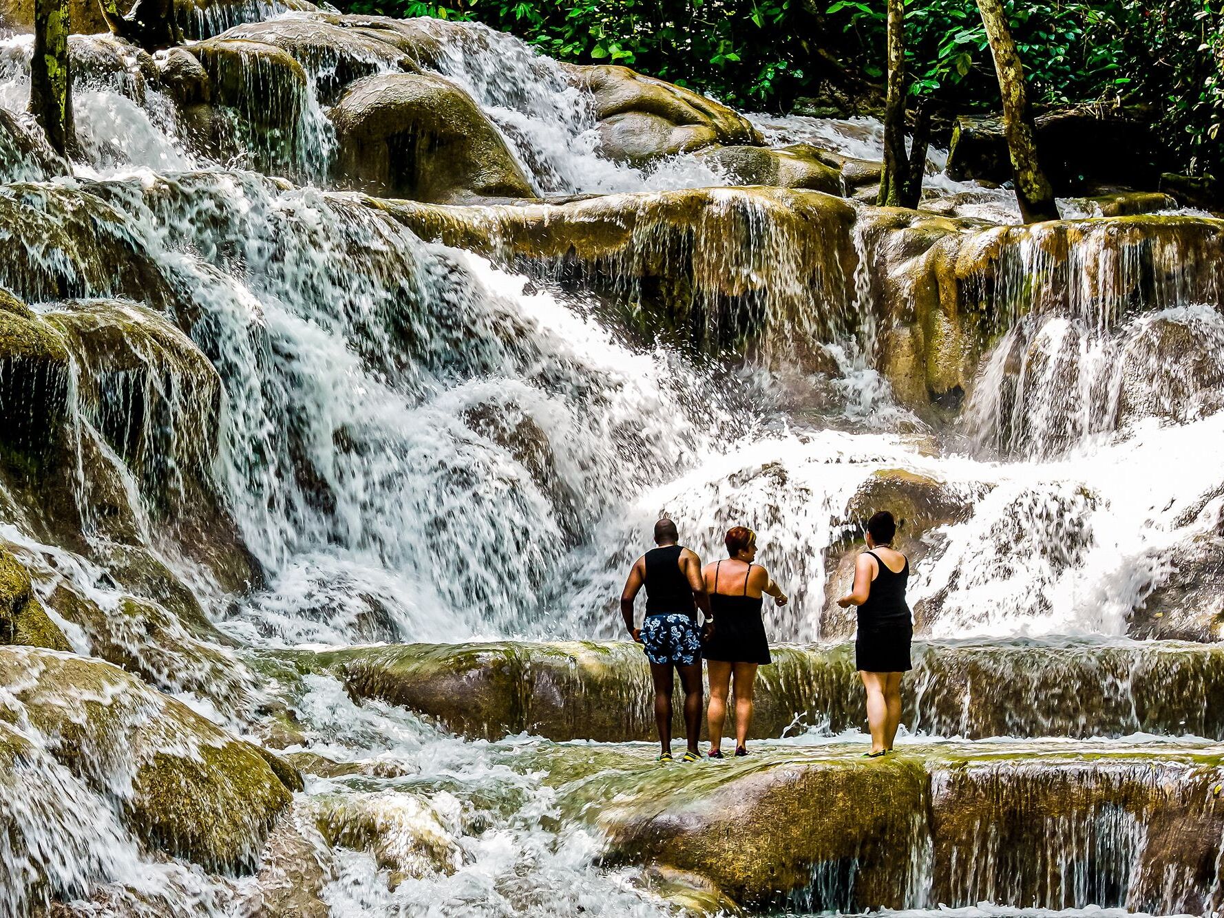 Picture of The World Famous Dunn's River Falls & Park