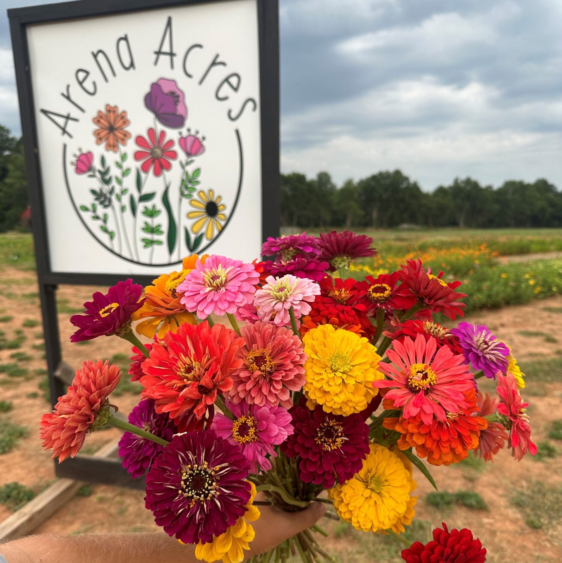 Picture of Arena Acres