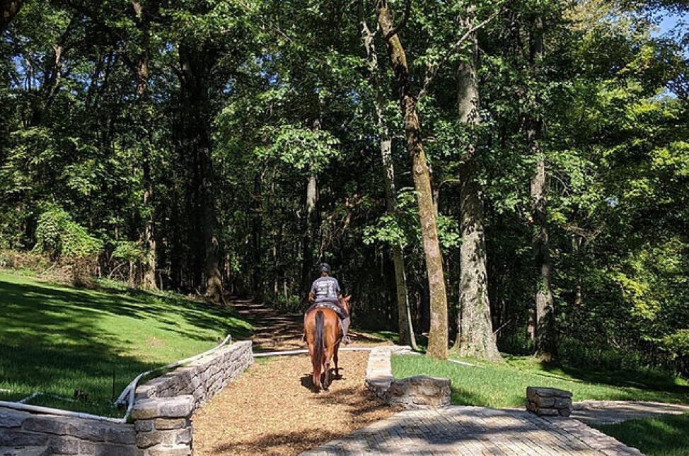 Picture of Nashville Equine TreK