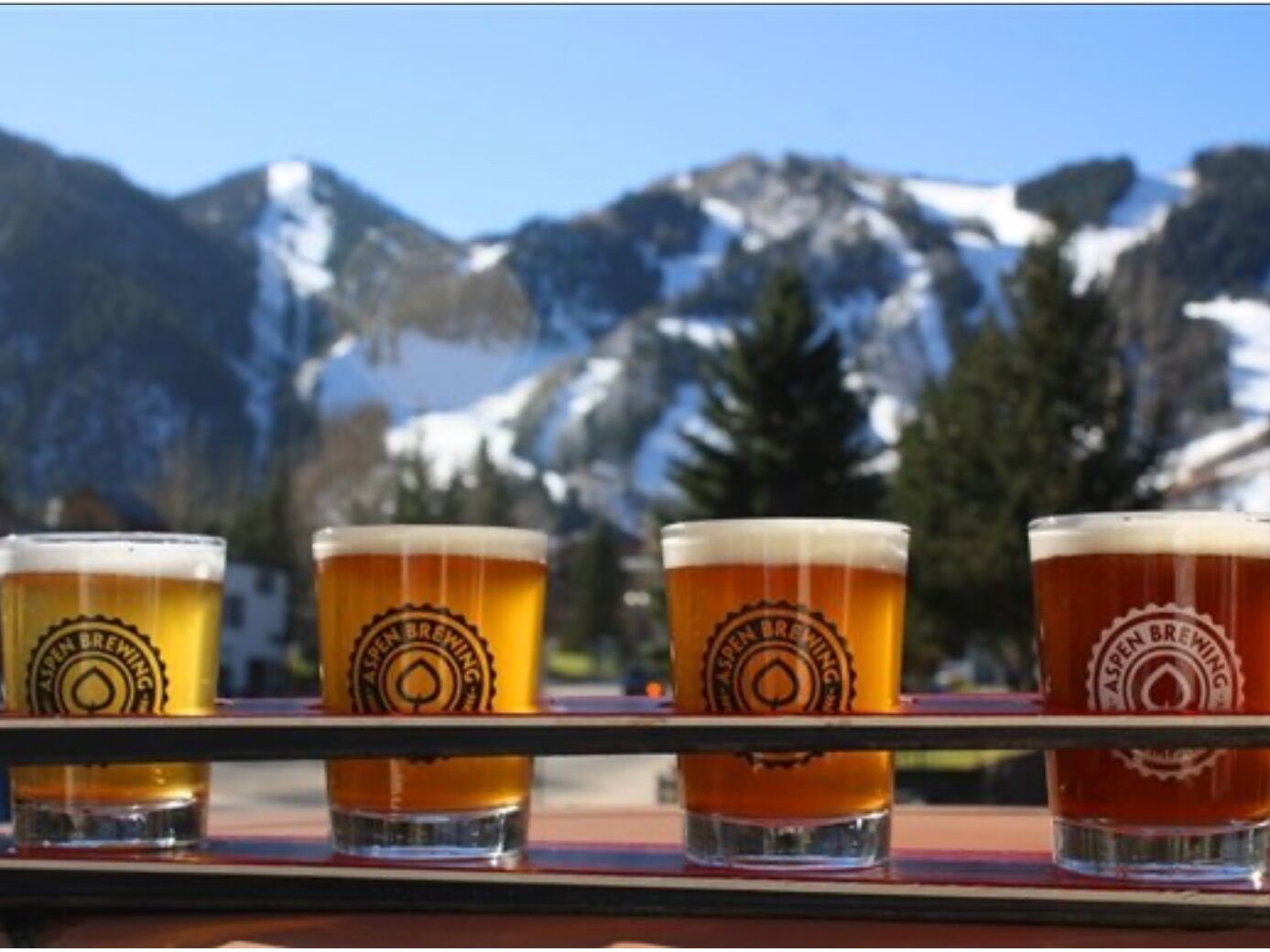 Picture of Aspen Tap / Aspen Brewing Co