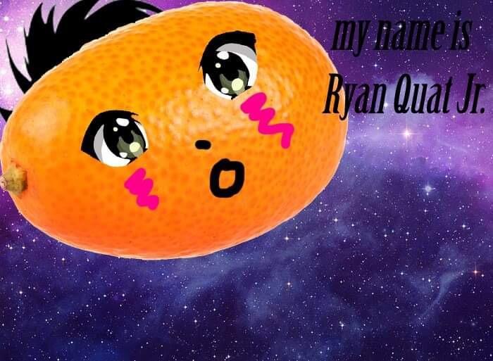A meme is born between us and marks the beginning of our friendship. It all stems from Ryan bringing Kumquats to school and offering one to Michelle.