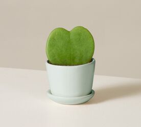 gifts-for-sister-in-law
