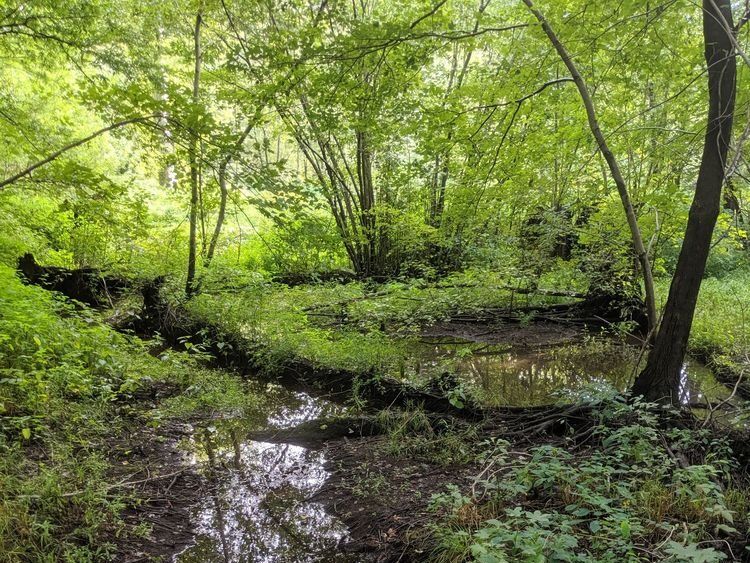 Picture of Top 10 best things to do near Darlington