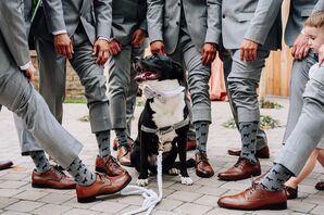 Matching Groomsmen Socks with Ring Bearer Dog