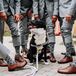 Matching Groomsmen Socks with Ring Bearer Dog