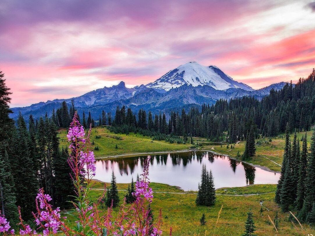 Picture of Mt. Rainier National Park