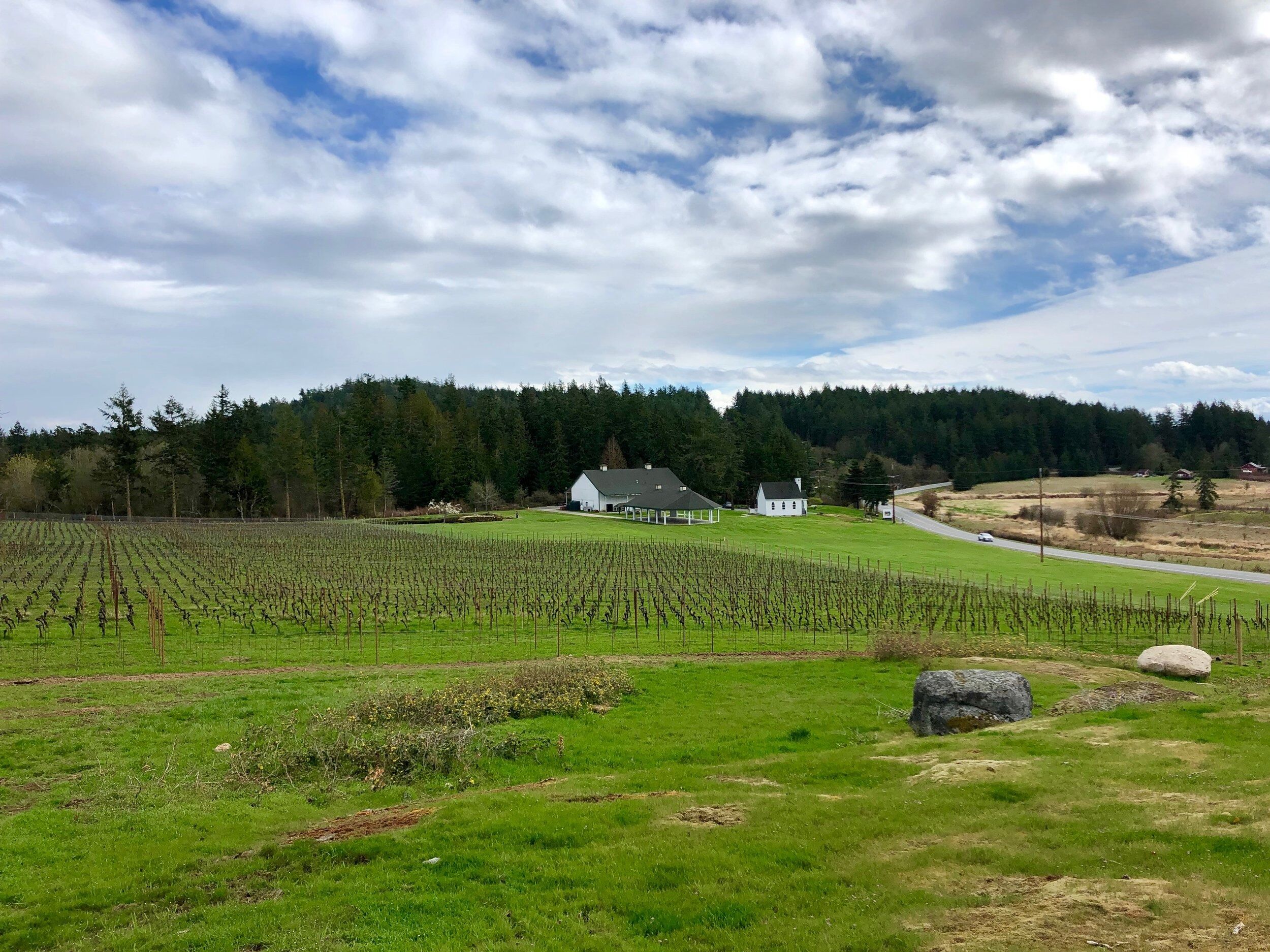 Picture of San Juan Vineyard