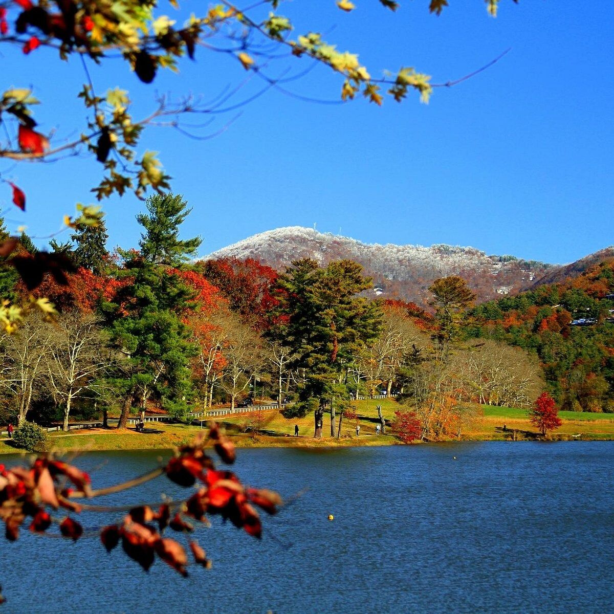Picture of Beaver Lake Bird Sanctuary