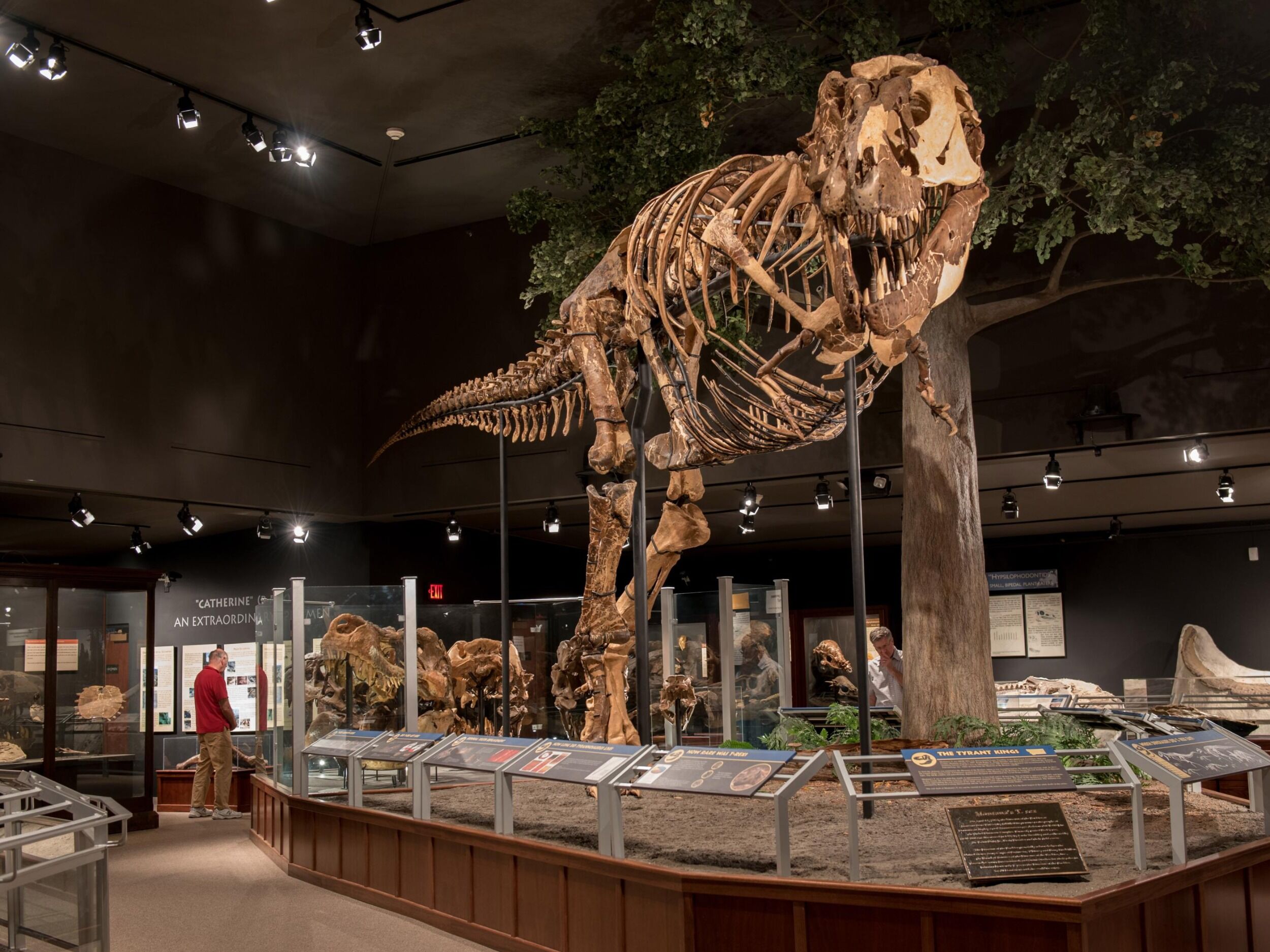 Picture of Museum of the Rockies