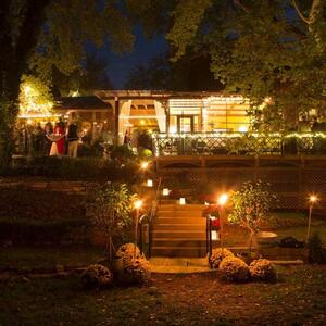Gallery Photo 1