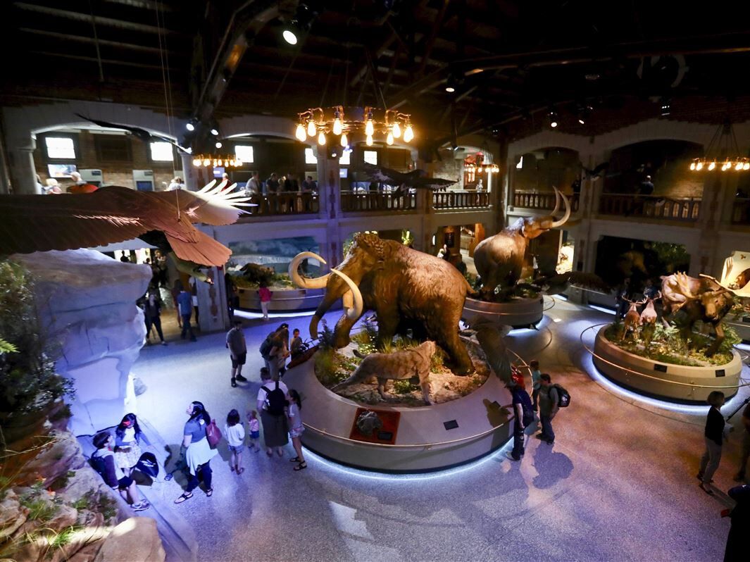 Picture of Toledo Zoo