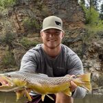 Ryan Arnston