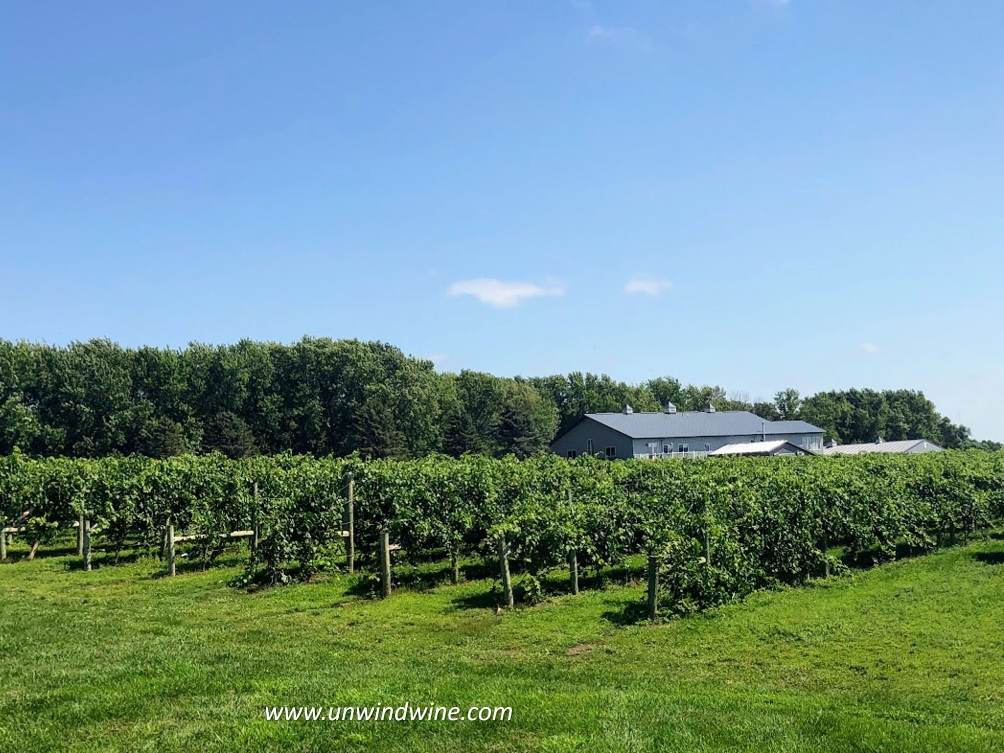 Picture of Round Lake Vineyards & Winery