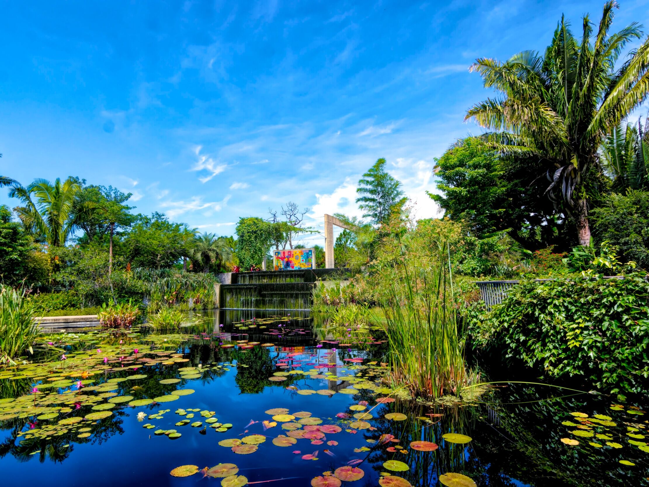Picture of Naples Botanical Garden