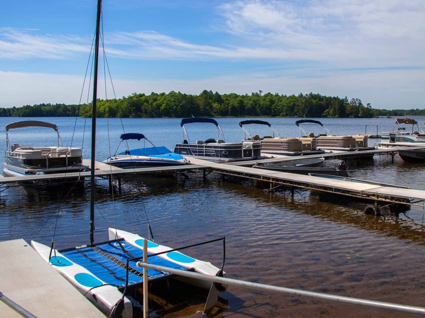 Picture of Marina Activities