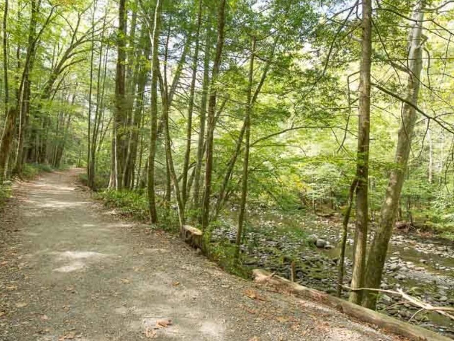 Picture of Gatlinburg Trail