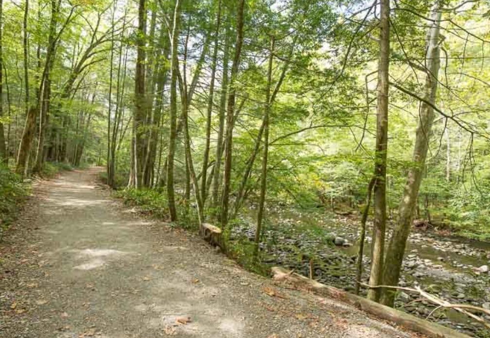 Picture of Gatlinburg Trail