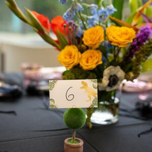Gallery Photo 3