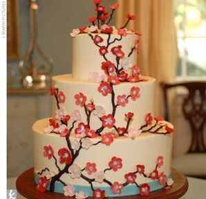 The Cake