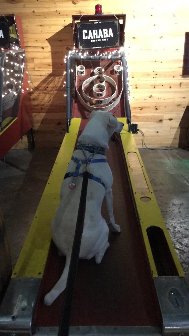 Picture of Cahaba Brewing Company 