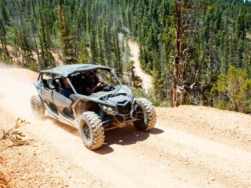 Picture of Octane Adventures - Scenic Cascade Tours