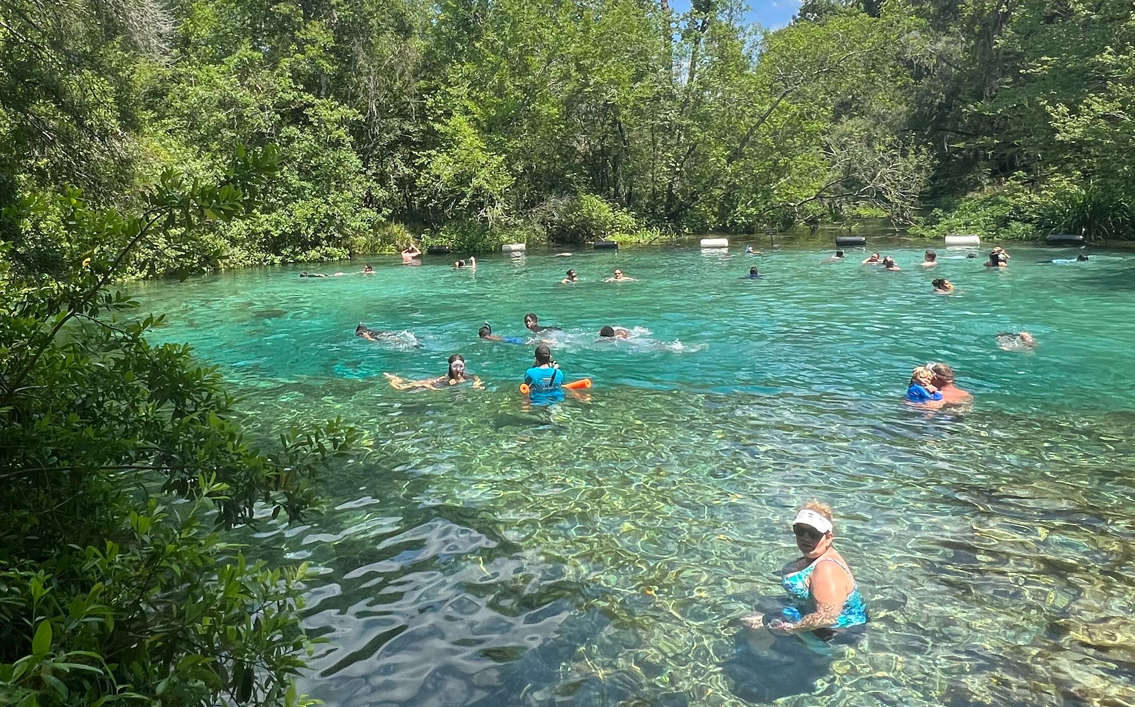 Picture of The springs! 