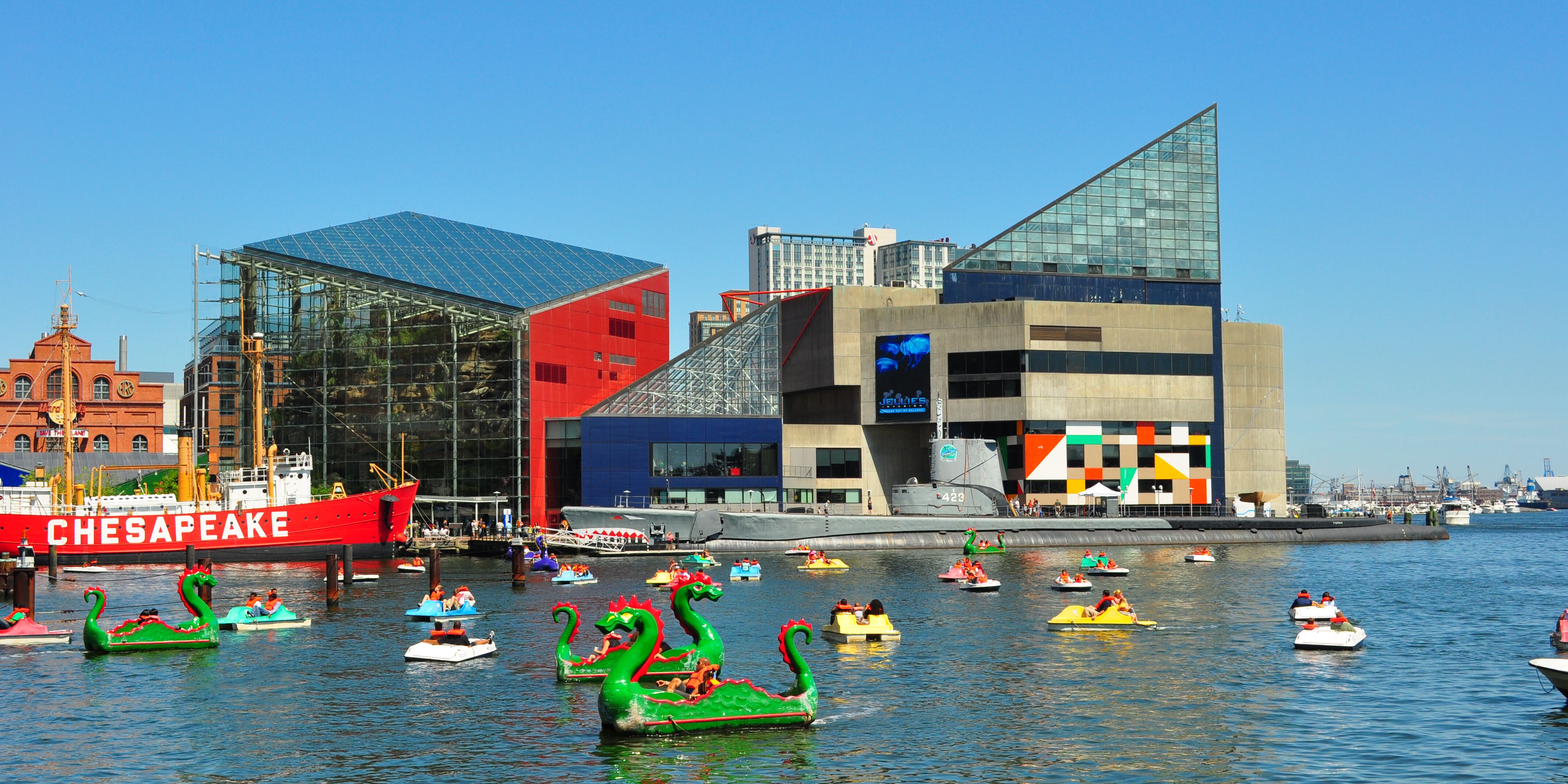 Picture of National Aquarium