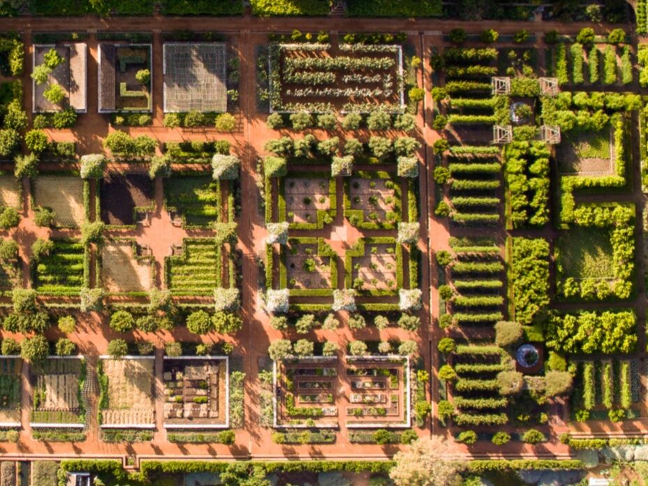 Picture of 2. Babylonstoren