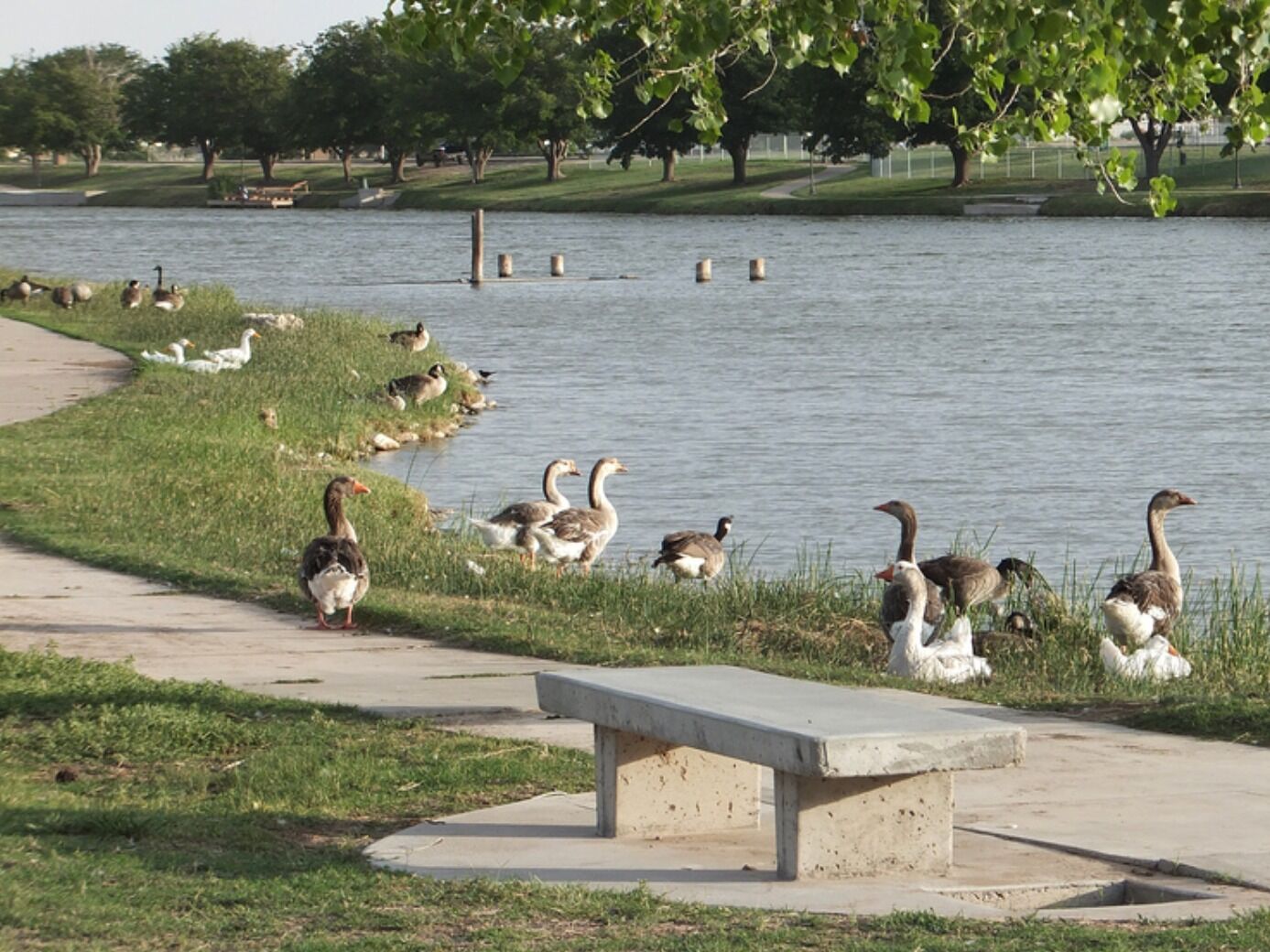 Picture of Riverwalk Recreation Center