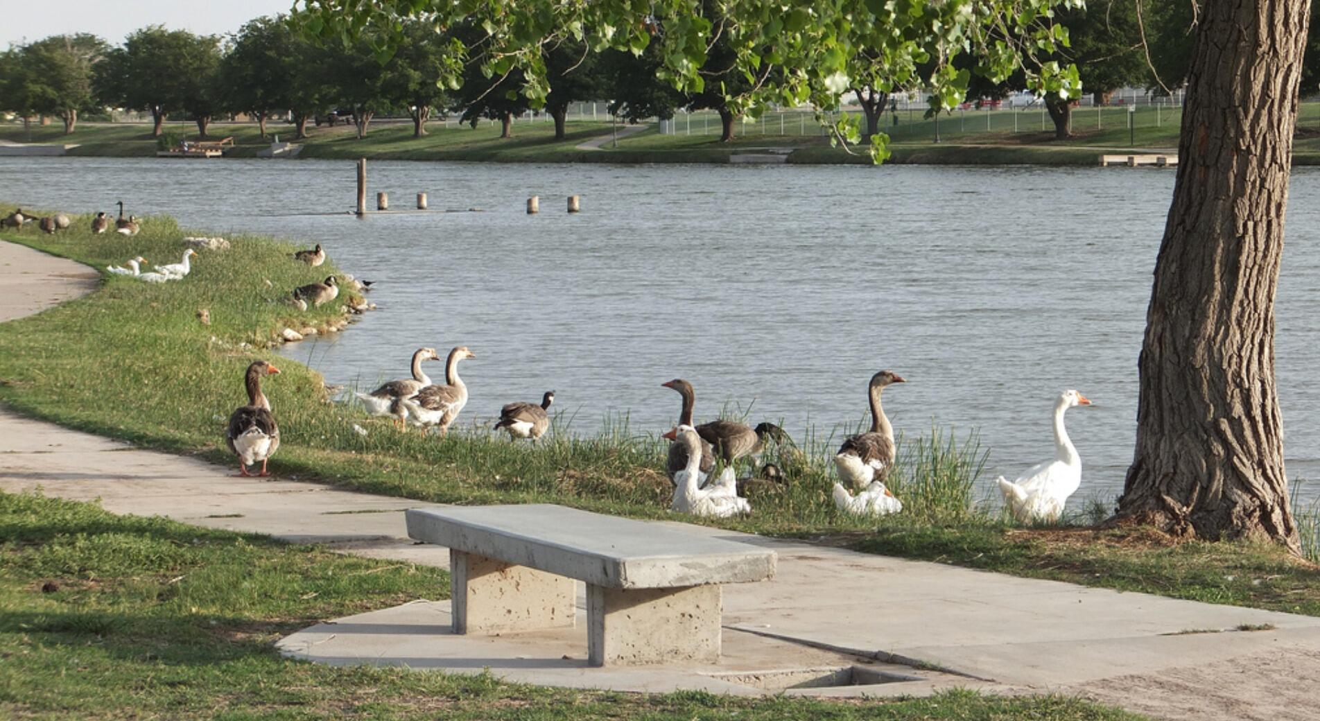 Picture of Riverwalk Recreation Center