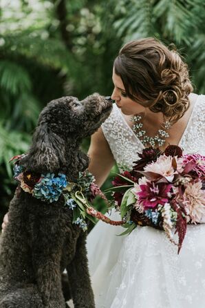 Colorful Hydrangea and Dahlia Dog Collar